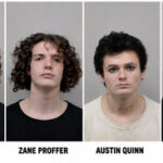 Gang-Related Vandalism Spree Ends With Four Juvenile Arrests in Citrus County