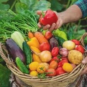 Learn about Vegetables with Master Gardeners in Citrus County