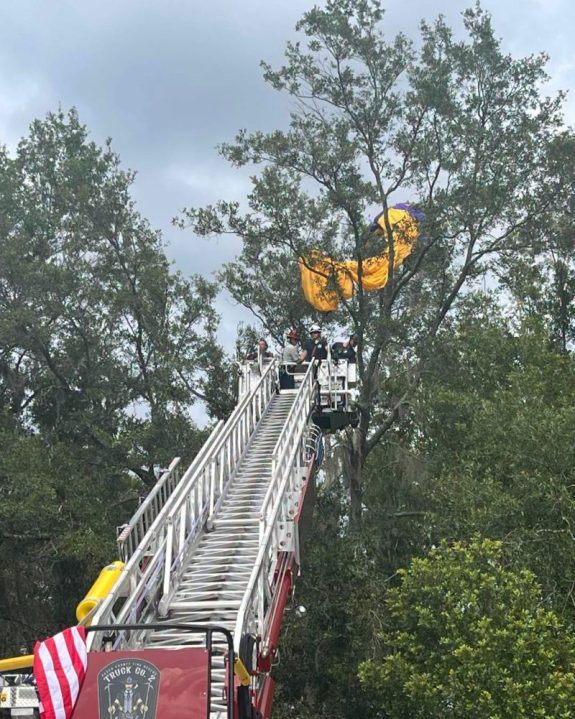 Skydiver Rescued from Tree in Zephyrhills