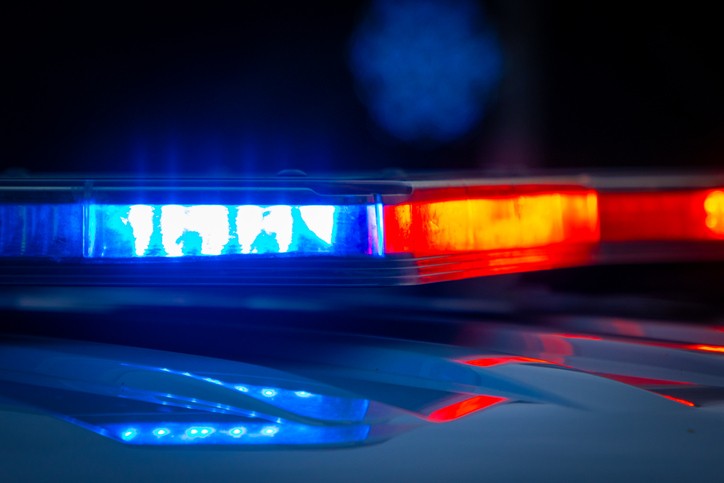 Tree Collapses on Zephyrhills Home, Killing One