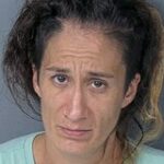 Woman Arrested on Multiple Sexual Battery Charges Against a Minor in Ridge Manor